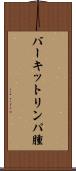 バーキットリンパ腫 Scroll