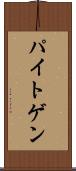 パイトゲン Scroll