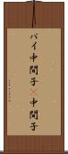 パイ中間子 Scroll