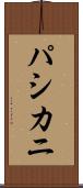 パシカニ Scroll