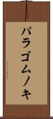 パラゴムノキ Scroll