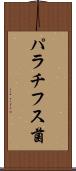 パラチフス菌 Scroll