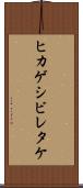 ヒカゲシビレタケ Scroll