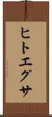ヒトエグサ Scroll