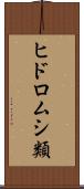 ヒドロムシ類 Scroll