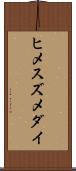 ヒメスズメダイ Scroll