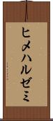 ヒメハルゼミ Scroll