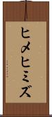ヒメヒミズ Scroll