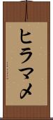 ヒラマメ Scroll