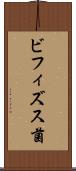 ビフィズス菌 Scroll