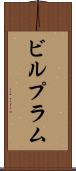 ビルプラム Scroll
