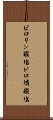 ピロリン酸塩 Scroll