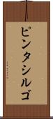 ピンタシルゴ Scroll