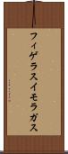 フィゲラスイモラガス Scroll