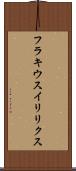 フラキウスイリリクス Scroll