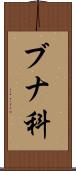 ブナ科 Scroll