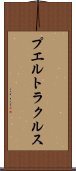 プエルトラクルス Scroll