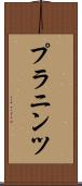 プラニンツ Scroll