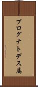 プログナトデス属 Scroll