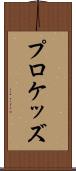 プロケッズ Scroll
