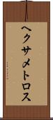 ヘクサメトロス Scroll