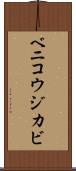 ベニコウジカビ Scroll