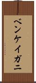 ベンケイガニ Scroll