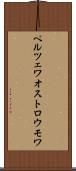 ペルツェワオストロウモワ Scroll