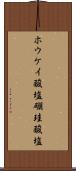 ホウケイ酸塩 Scroll