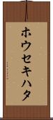 ホウセキハタ Scroll