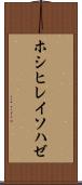 ホシヒレイソハゼ Scroll