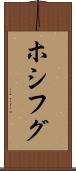 ホシフグ Scroll
