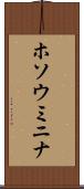 ホソウミニナ Scroll