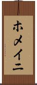ホメイニ Scroll