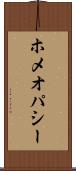 ホメオパシー Scroll