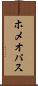 ホメオパス Scroll