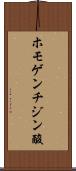 ホモゲンチジン酸 Scroll