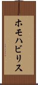 ホモハビリス Scroll