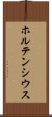ホルテンシウス Scroll