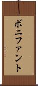 ボニファント Scroll
