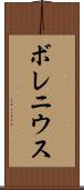 ボレニウス Scroll