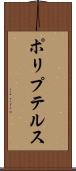 ポリプテルス Scroll