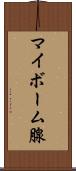 マイボーム腺 Scroll