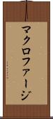 マクロファージ Scroll
