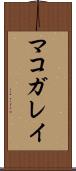 マコガレイ Scroll