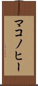 マコノヒー Scroll