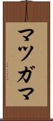 マツガマ Scroll