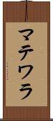 マテワラ Scroll
