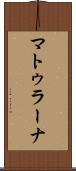 マトゥラーナ Scroll