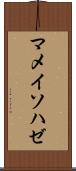 マメイソハゼ Scroll